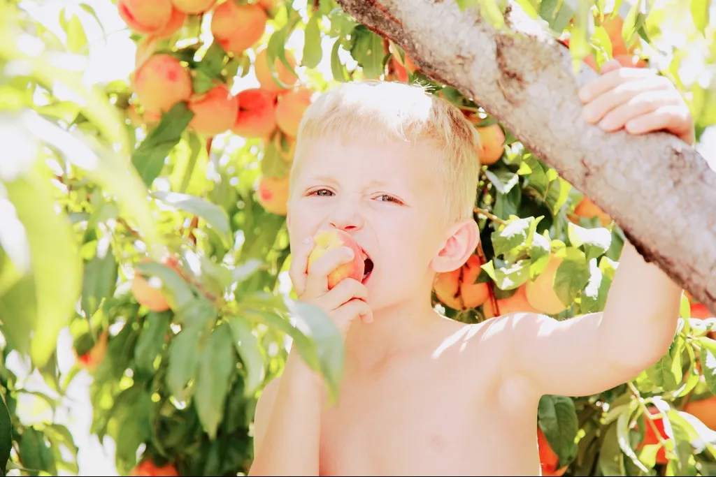 Odontopediatria - Por que levar a criança ao dentista.