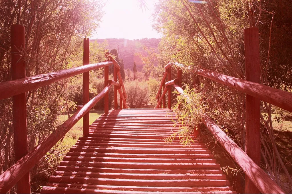 Mudança no Site da Clínica MD Frossard Odontologia 